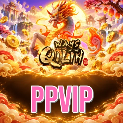 ppvip Security FAQ